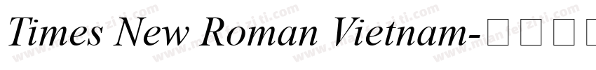 Times New Roman Vietnam字体转换